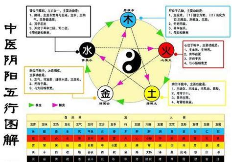 五行工作 水和金 五行